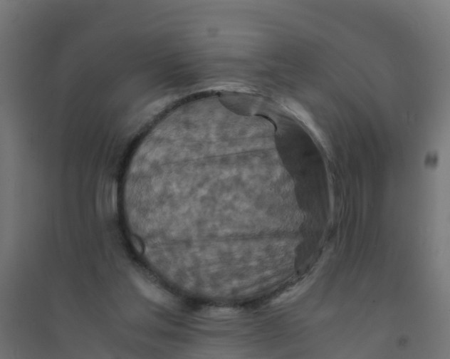 X0000094180205200711241600