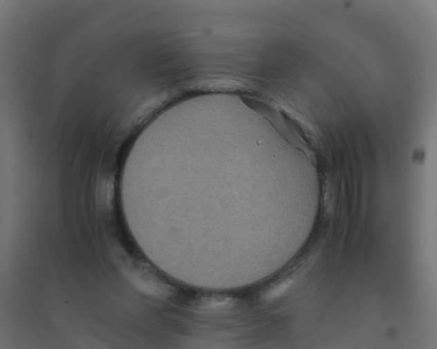X0000094180206200711241600