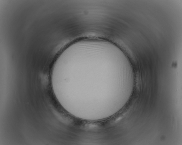 X0000094180208200711241600