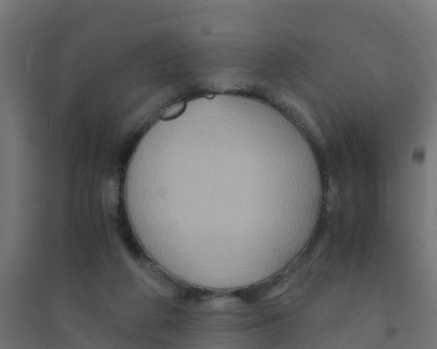 X0000094180210200711241600