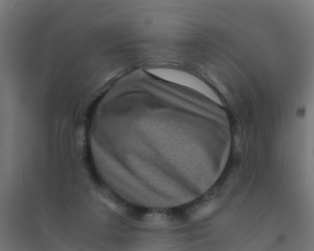 X0000094180211200711241600