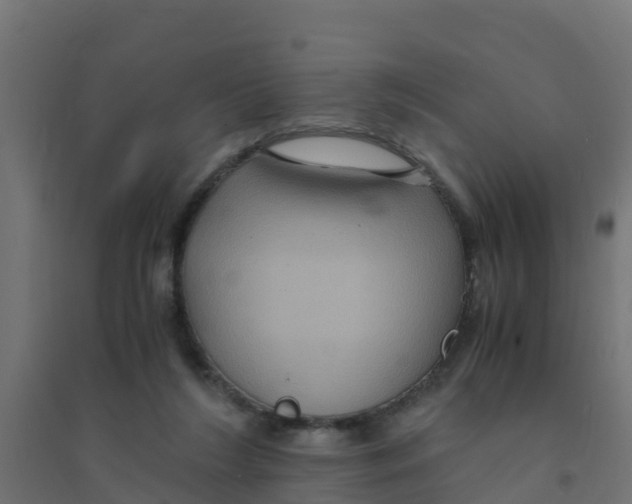 X0000094180212200711241600