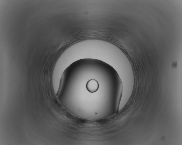 X0000094180215200711241600