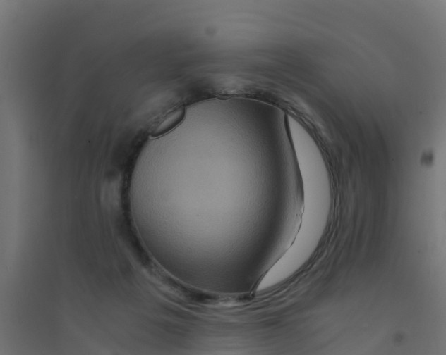 X0000094180217200711241600