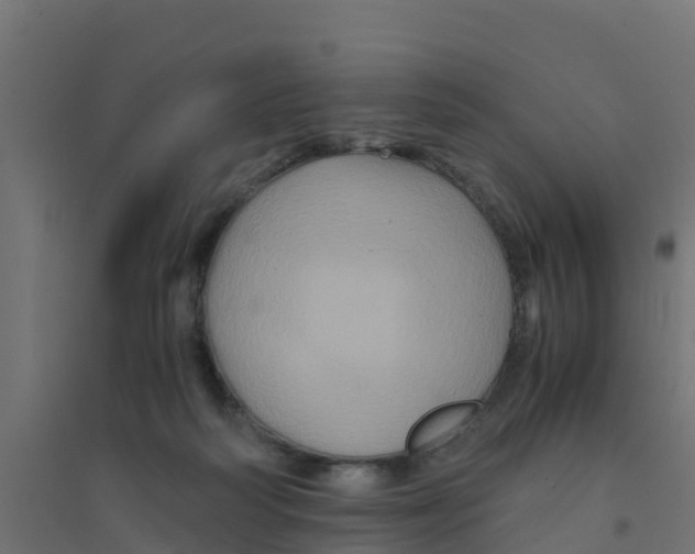 X0000094180218200711241600