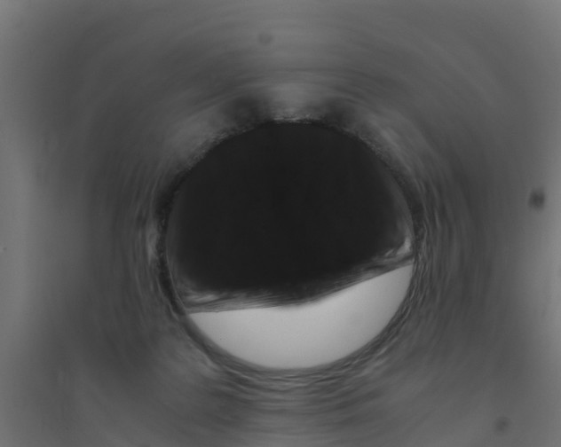 X0000094180219200711241600