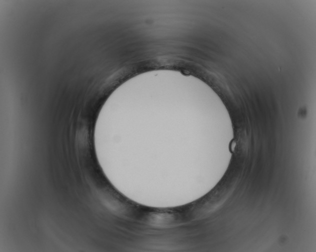 X0000094180220200711241600