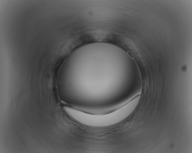 X0000094180221200711241600