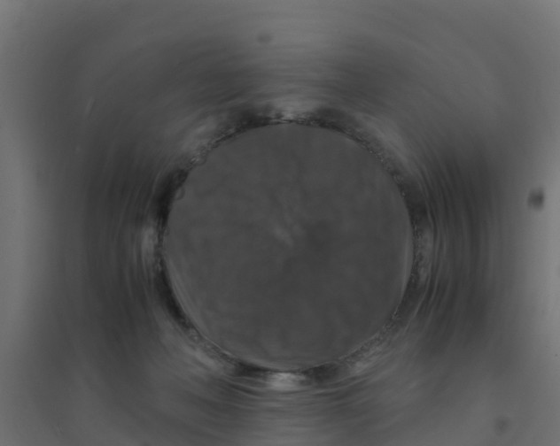 X0000094180222200711241600