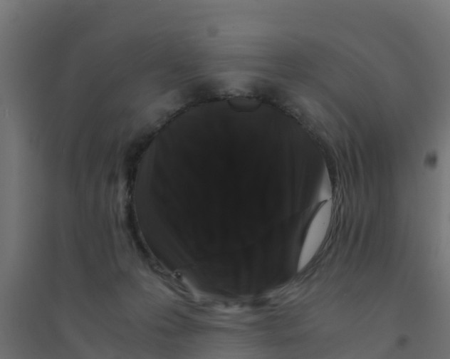 X0000094180223200711241600