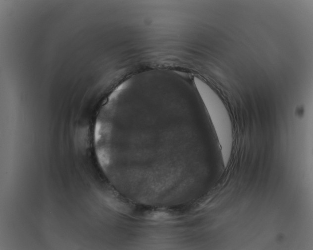 X0000094180224200711241600
