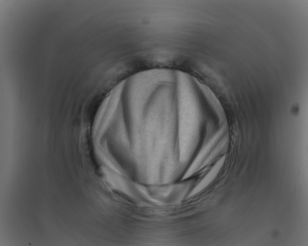 X0000094180225200711241600