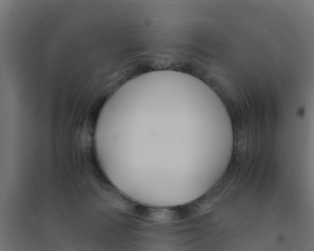 X0000094180226200711241600