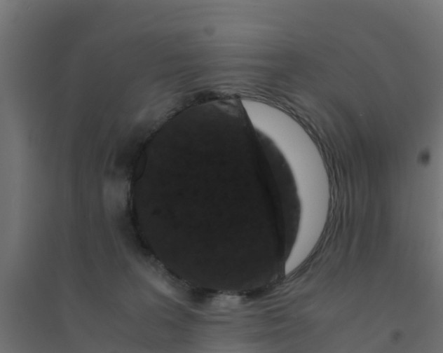 X0000094180227200711241600