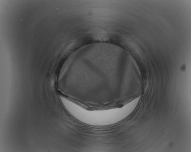 X0000094180229200711241600
