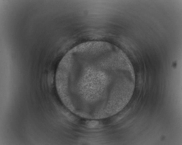 X0000094180230200711241600