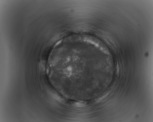 X0000094180232200711241600