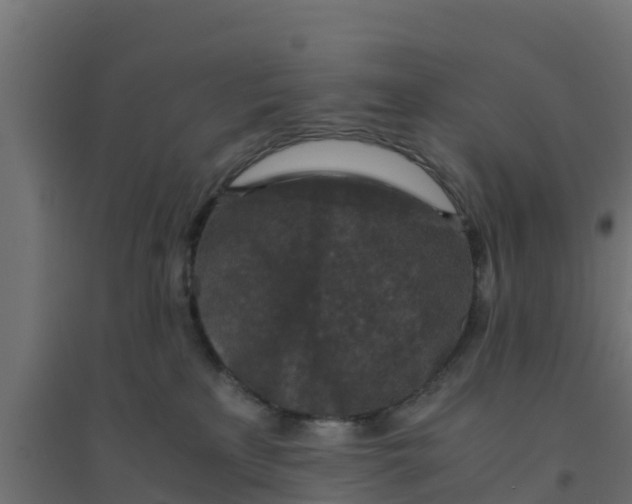 X0000094180233200711241600