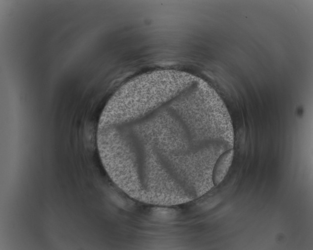 X0000094180234200711241600