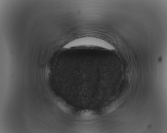 X0000094180235200711241600