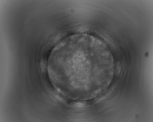 X0000094180236200711241600