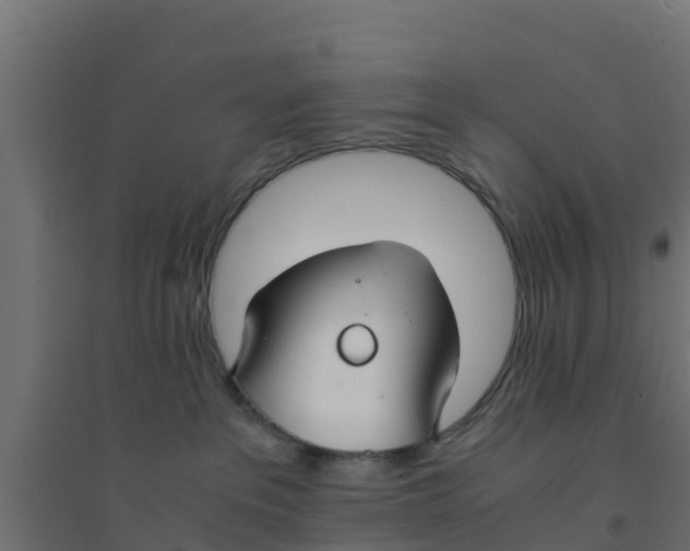 X0000094180237200711241600