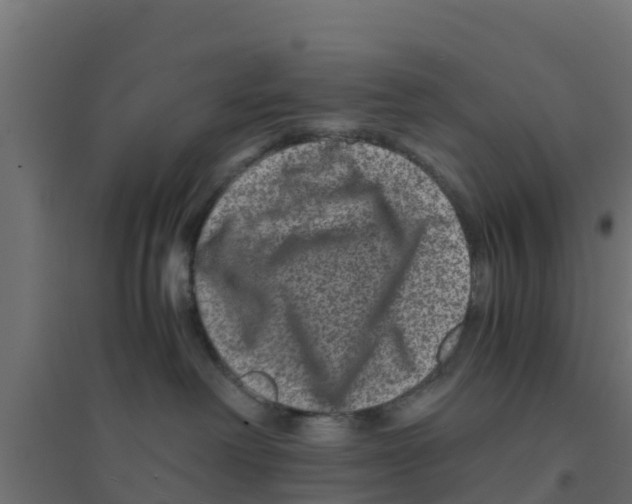 X0000094180238200711241600