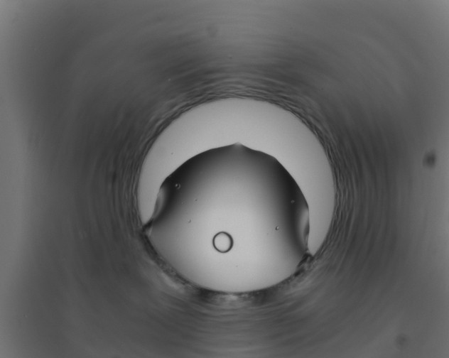 X0000094180239200711241600