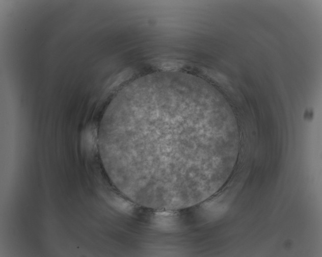 X0000094180240200711241600