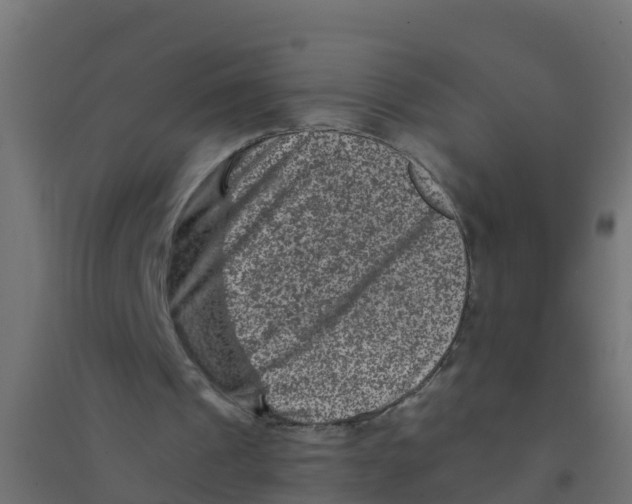 X0000094180241200711241559