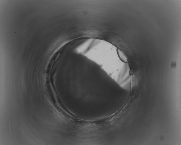 X0000094180243200711241559