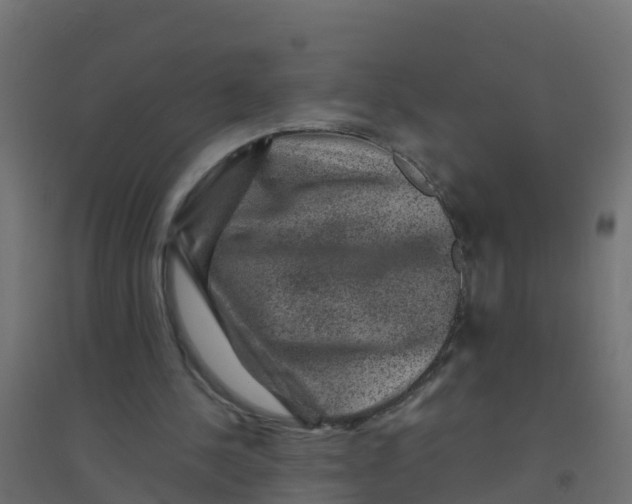 X0000094180244200711241559