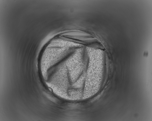 X0000094180246200711241559