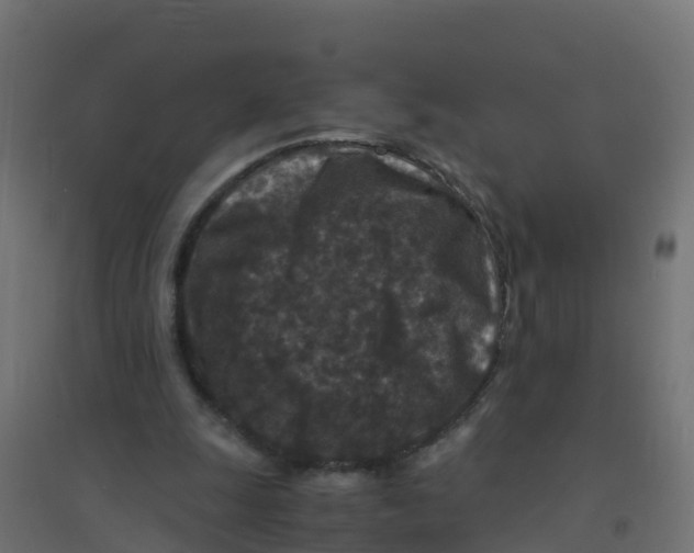 X0000094180247200711241559