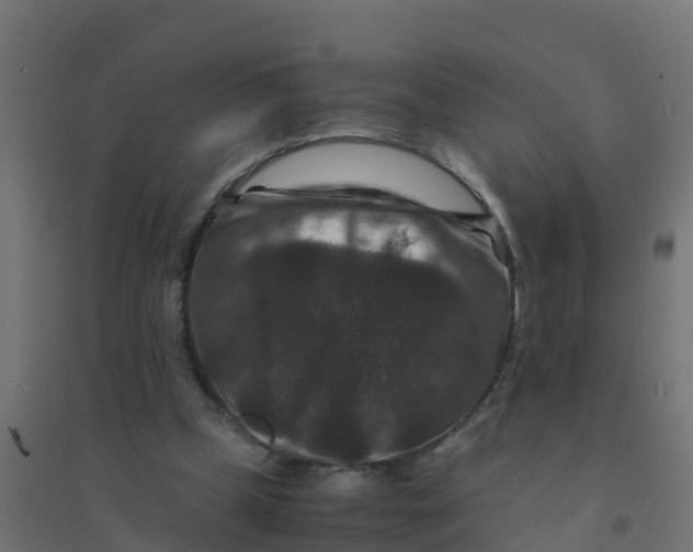 X0000094180249200711241559