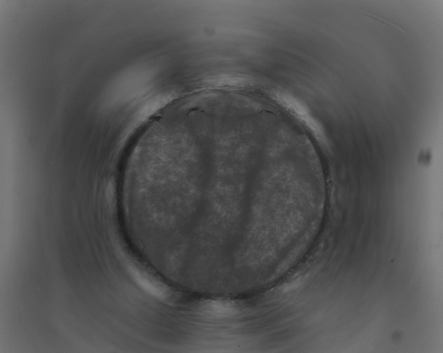 X0000094180250200711241559