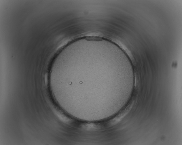 X0000094180253200711241559