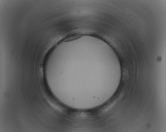X0000094180254200711241559