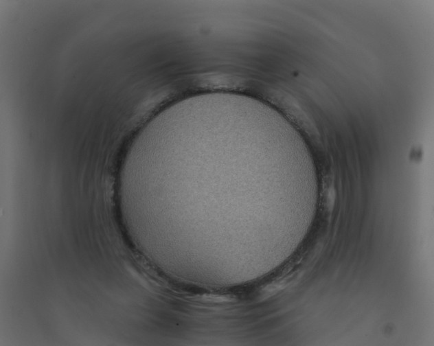 X0000094180255200711241559
