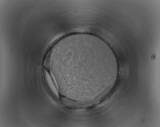 X0000094180256200711241559