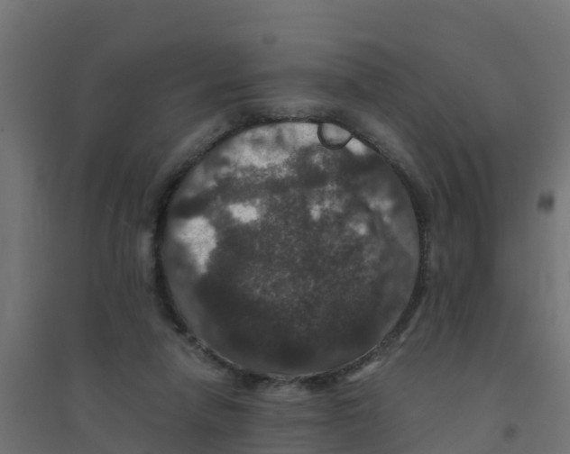 X0000094180258200711241559