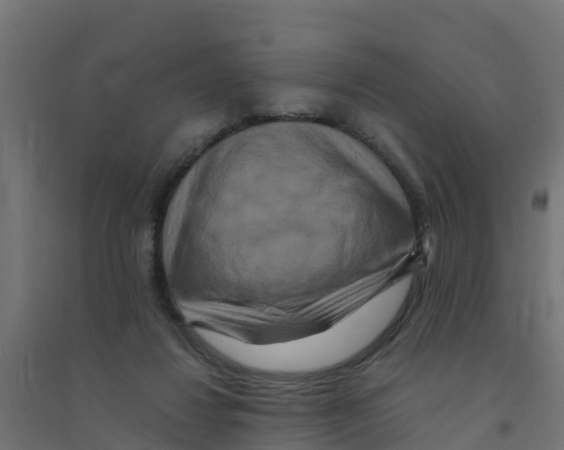 X0000094180260200711241600