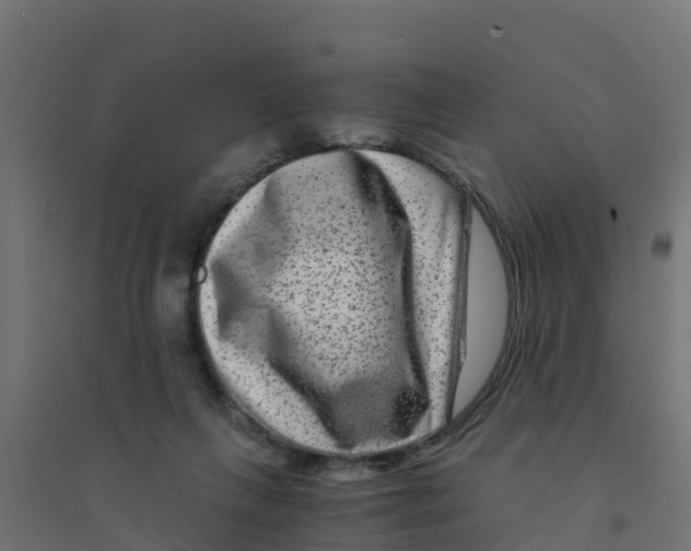 X0000094180263200711241600