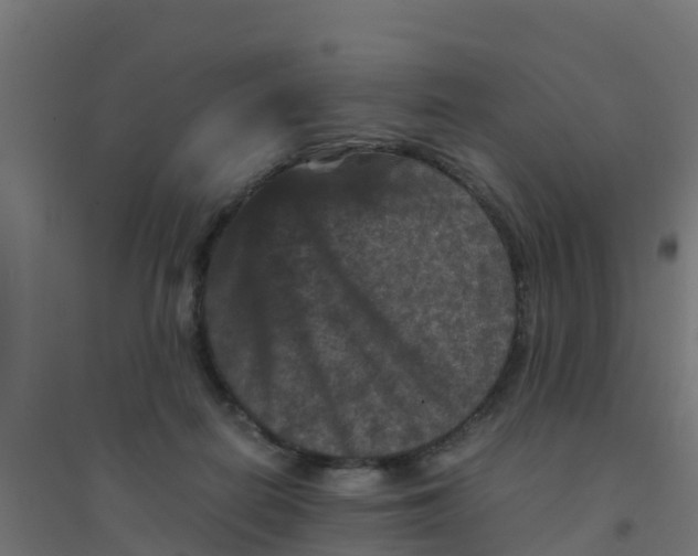 X0000094180266200711241600