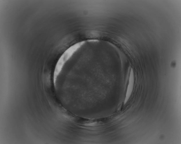 X0000094180267200711241600