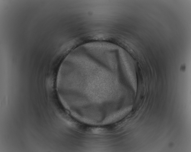 X0000094180268200711241600