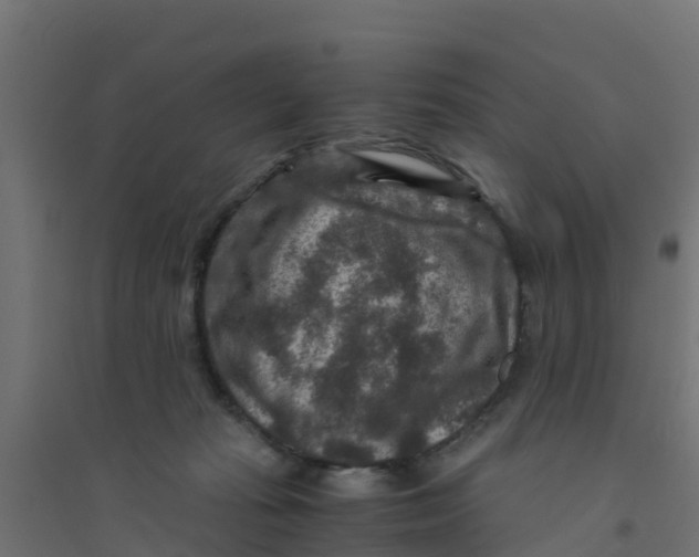 X0000094180269200711241600