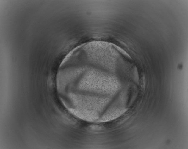 X0000094180272200711241600