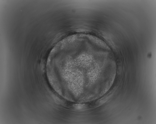 X0000094180273200711241600