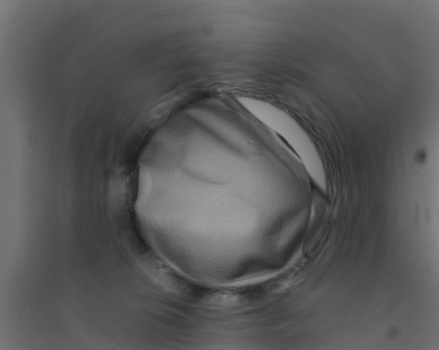 X0000094180276200711241600